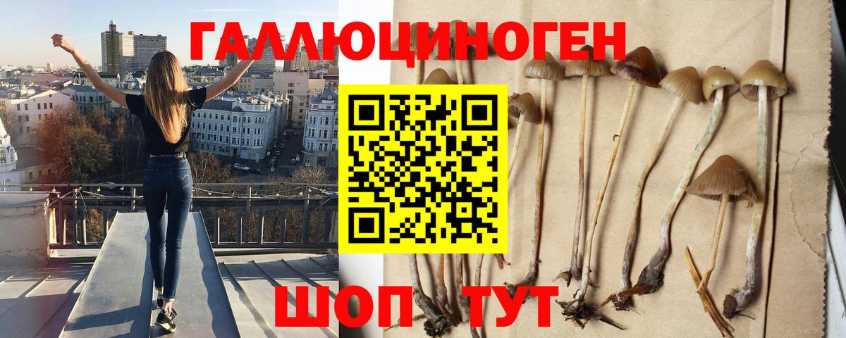 Галлюциногенные грибы MAGIC MUSHROOMS Шарыпово