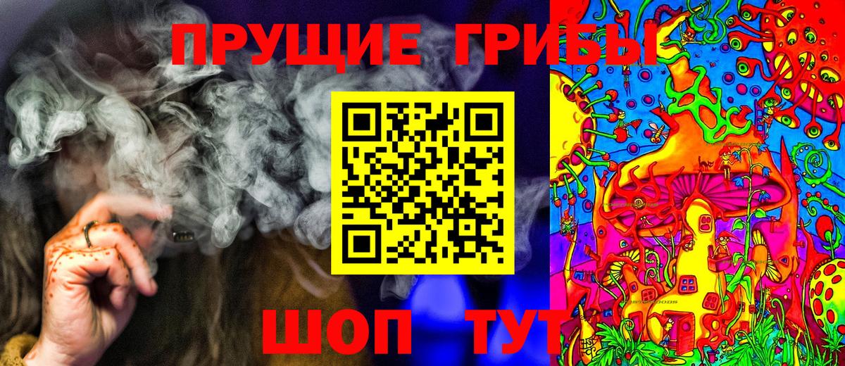 Шарыпово  Галлюциногенные грибы прущие грибы  Вход с VPN 